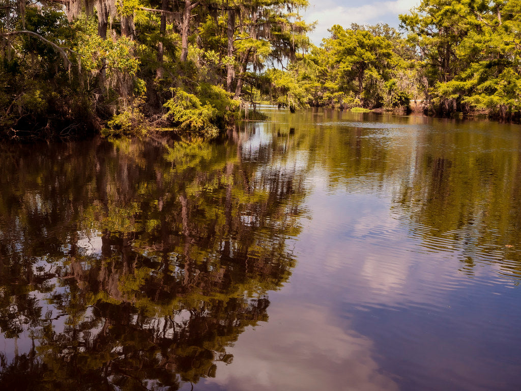 The Complete Sabine River Fishing & Paddling Guide: Gear for Every Season