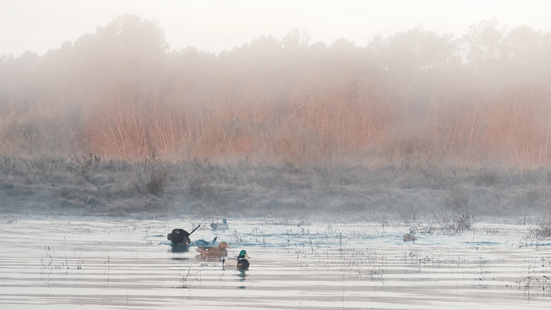 Sabine River Duck Hunting 2026: The Complete Guide to Public & Private Hunts in East Texas