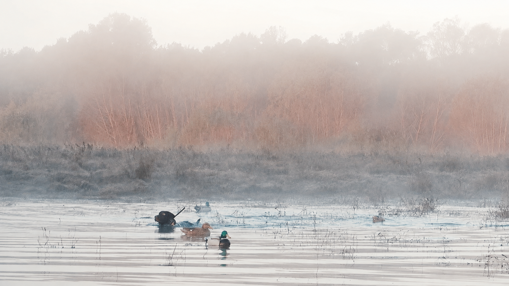Sabine River Duck Hunting 2026: The Complete Guide to Public & Private Hunts in East Texas