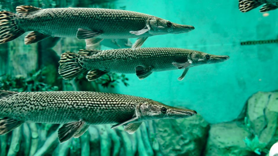 Sabine Outfitters: East Texas River Gear Built for the Sabine